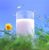 nachhaltige Milch